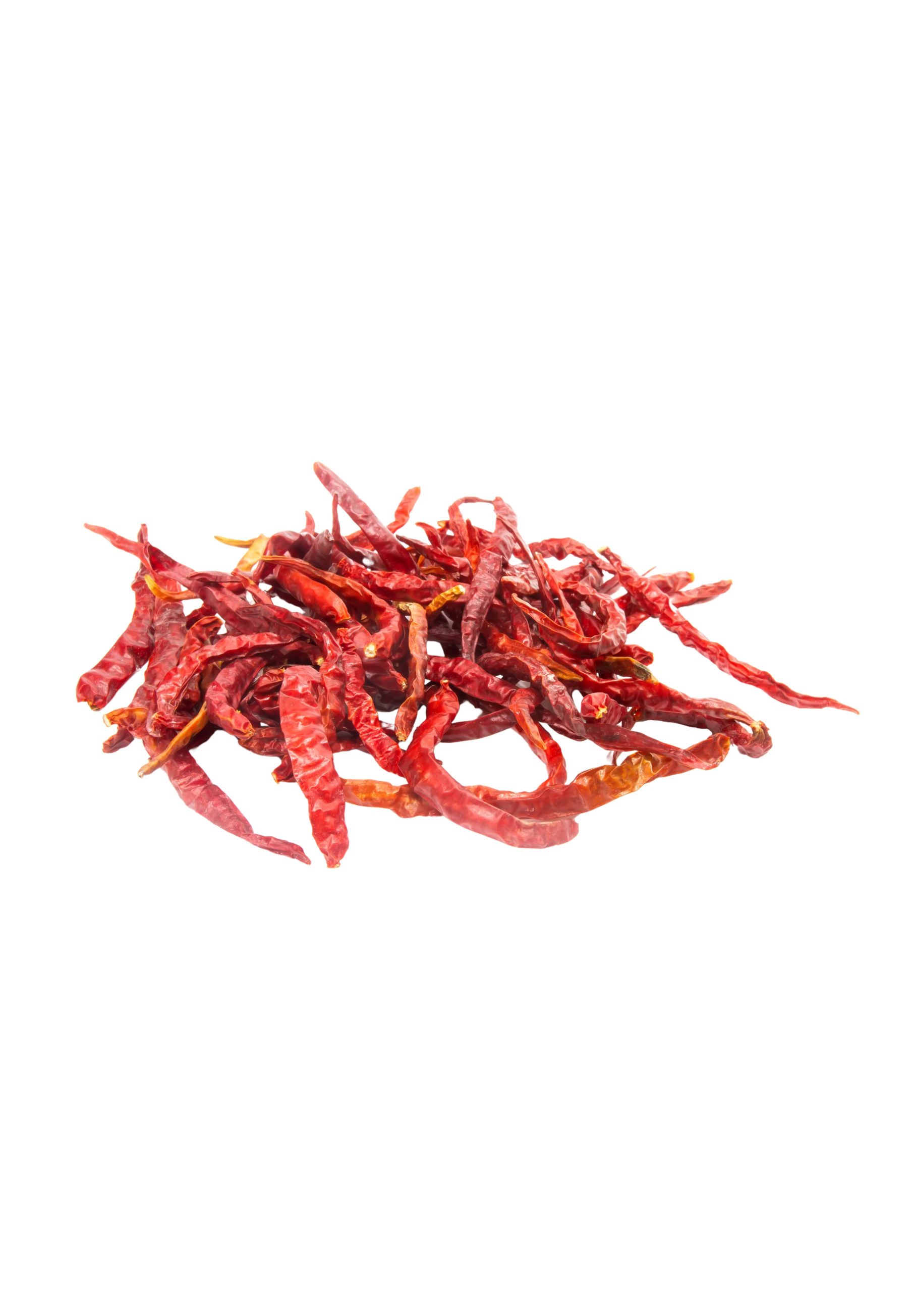 WhatsApp Image 2025-07-22 at 22.00.29 (2)